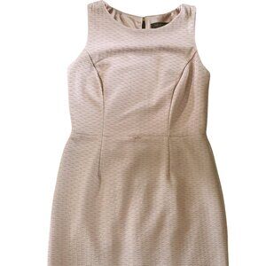 The Limited Size 6 Sleeveless Dress Blush Lace Detail